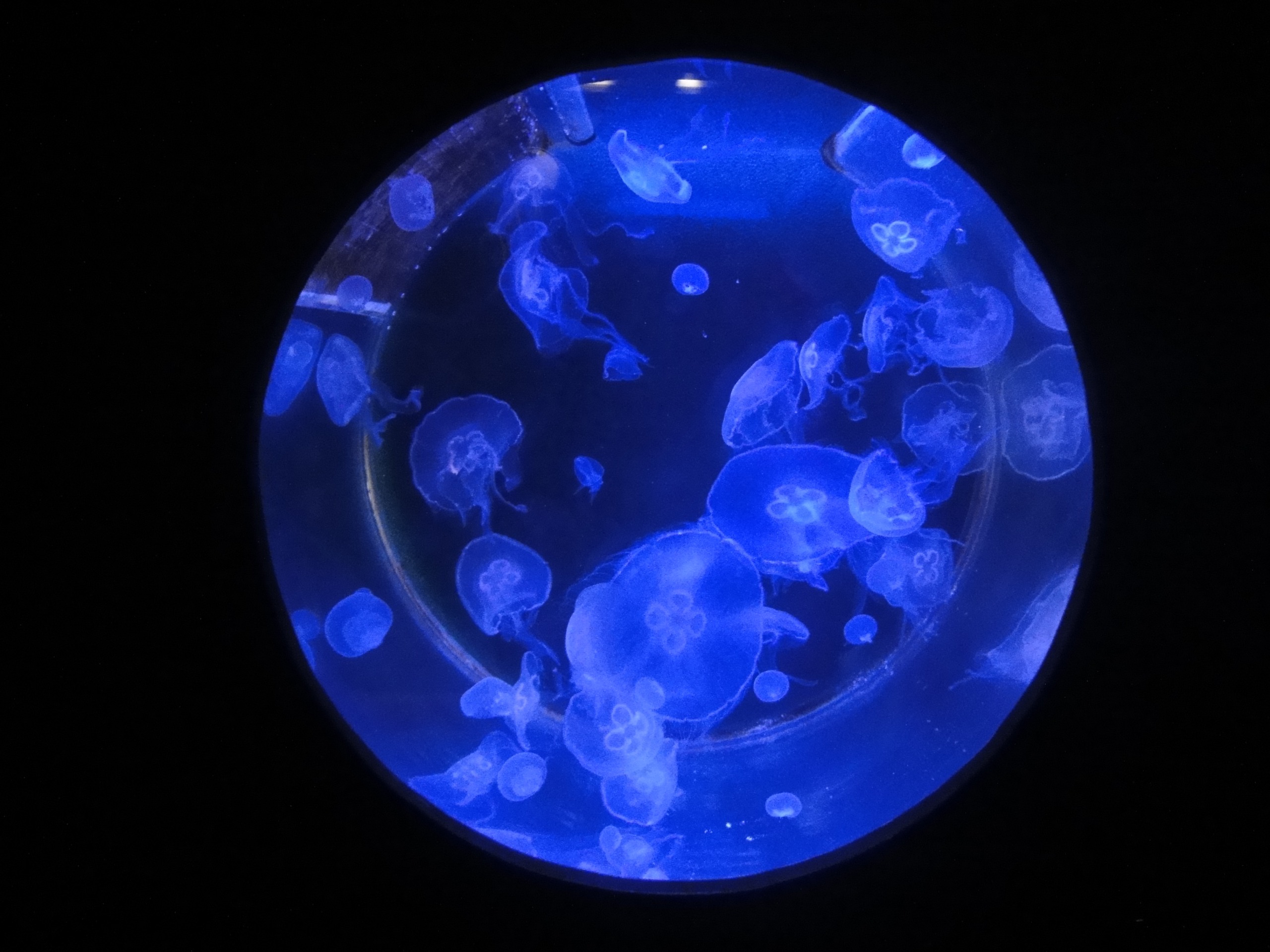 Review 'Moon For Sale' by Richard Price • Poetry School