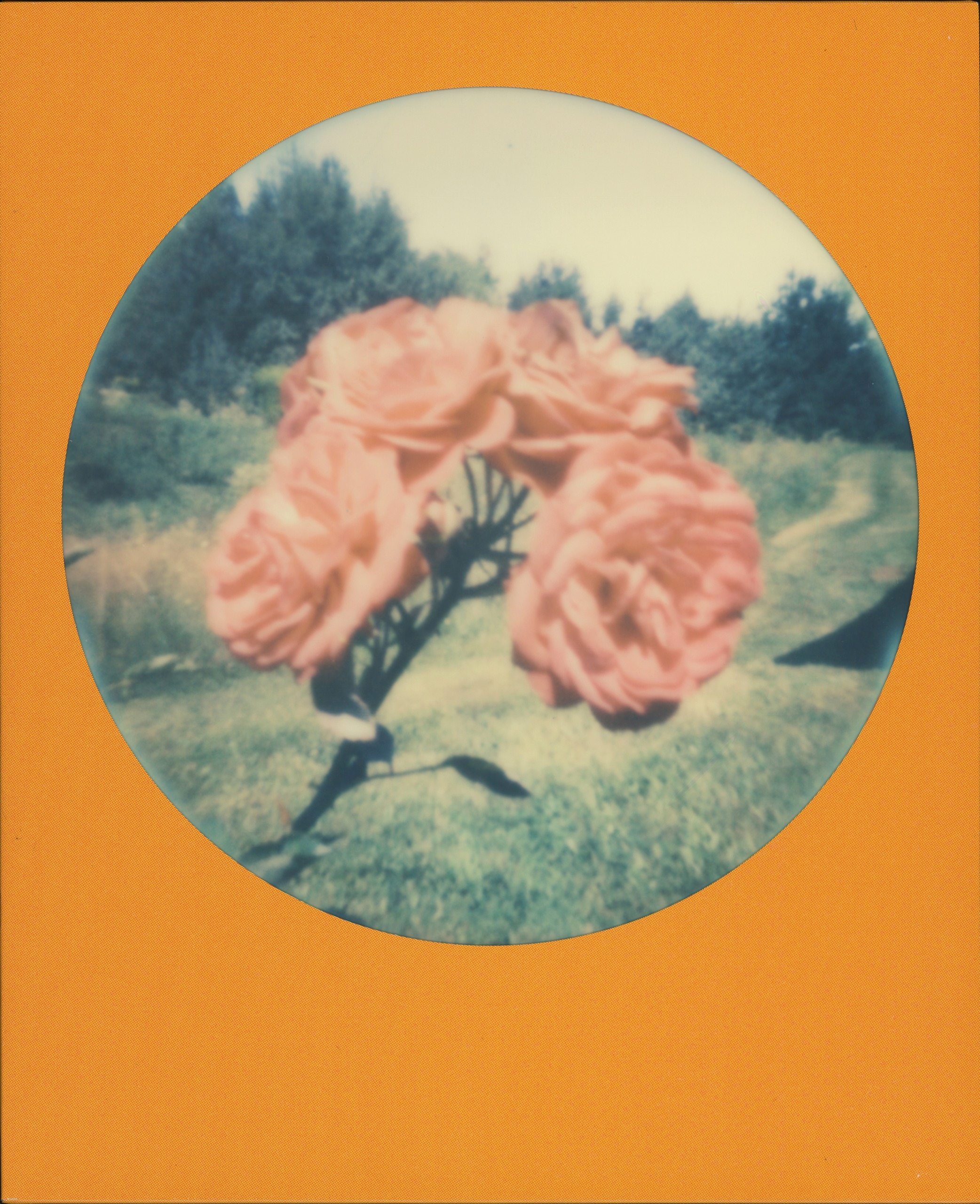 Summer School 2018 Poetry School