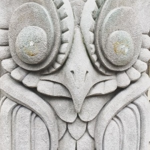 Pareidolia Studio