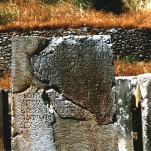 Transreading Classical Languages (Transreading)