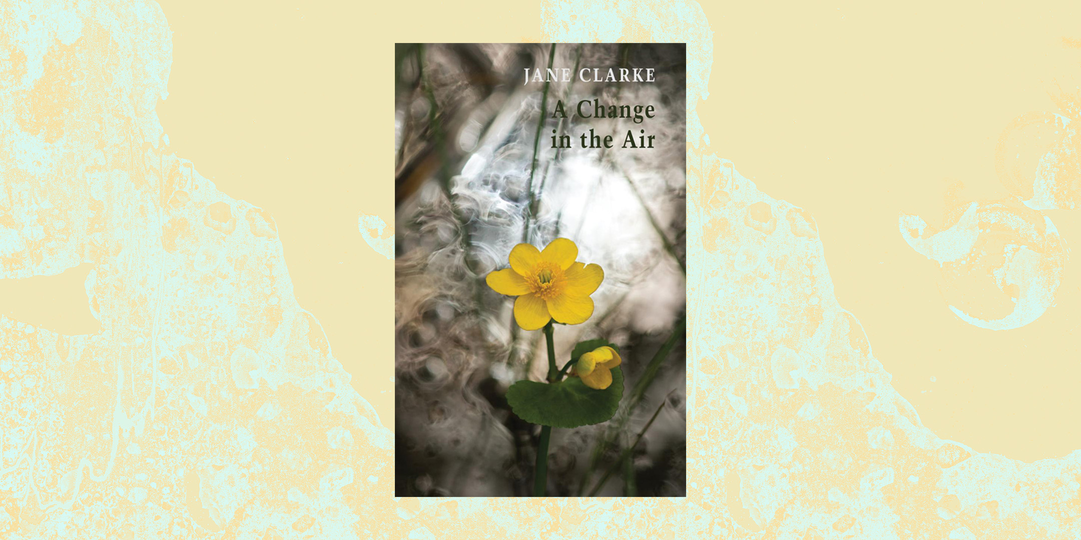 A Change in the Air | Jane Clarke's T.S. Prize-shortlisted poetry collection