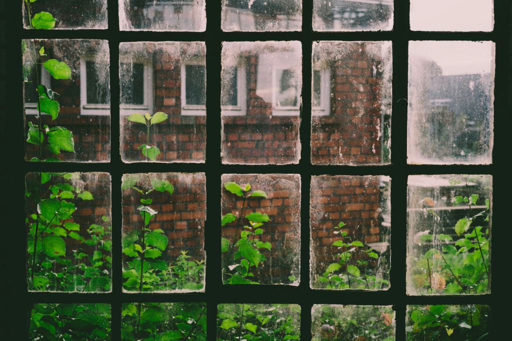 Image for 'A Quest for an Innocence in a Troubled World'. A window with green shots growing outside the window. 
