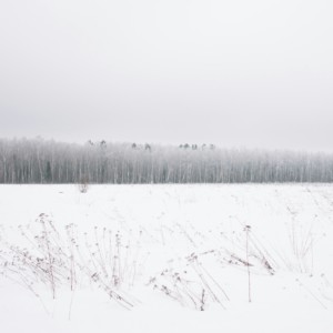 Snowfelt: The Invisible Landscape Masterclass