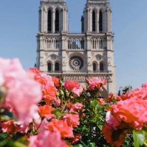 Springtime in Paris