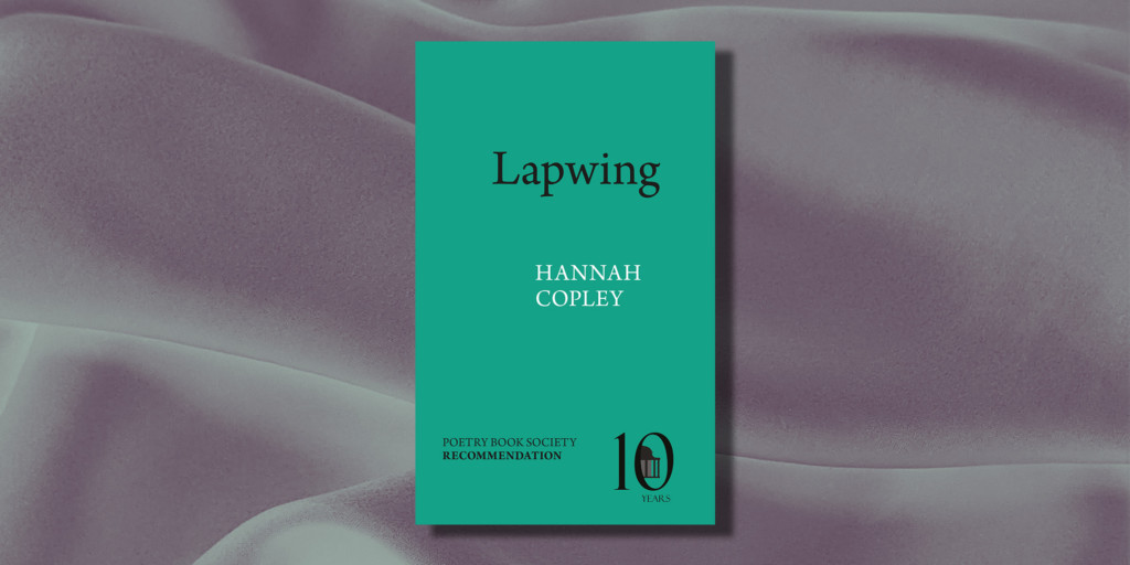 this is an image of Hannah Copley's book Lapwing.