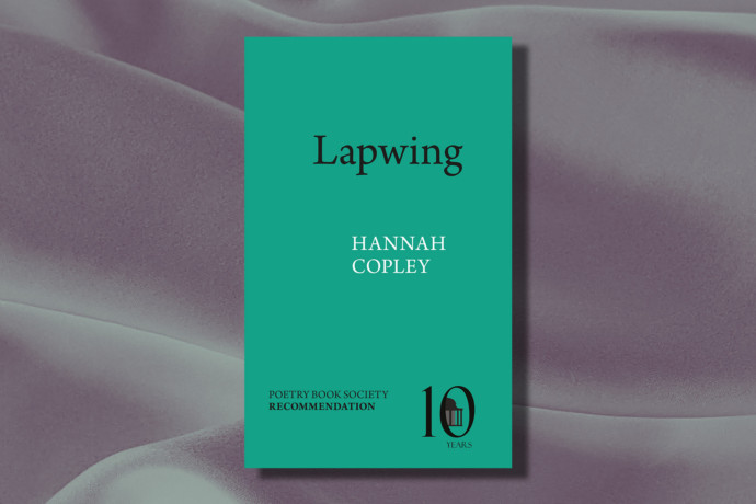 A picture of Hannah Copley's Lapwing