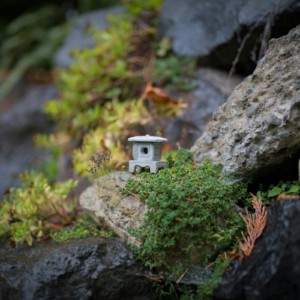 From Miniature to Global: Ecological Imaginaries Studio