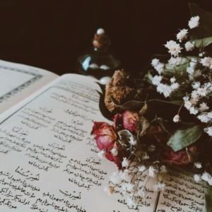 Transreading Middle Eastern Poetry: Mid 20th Century to the Present Day