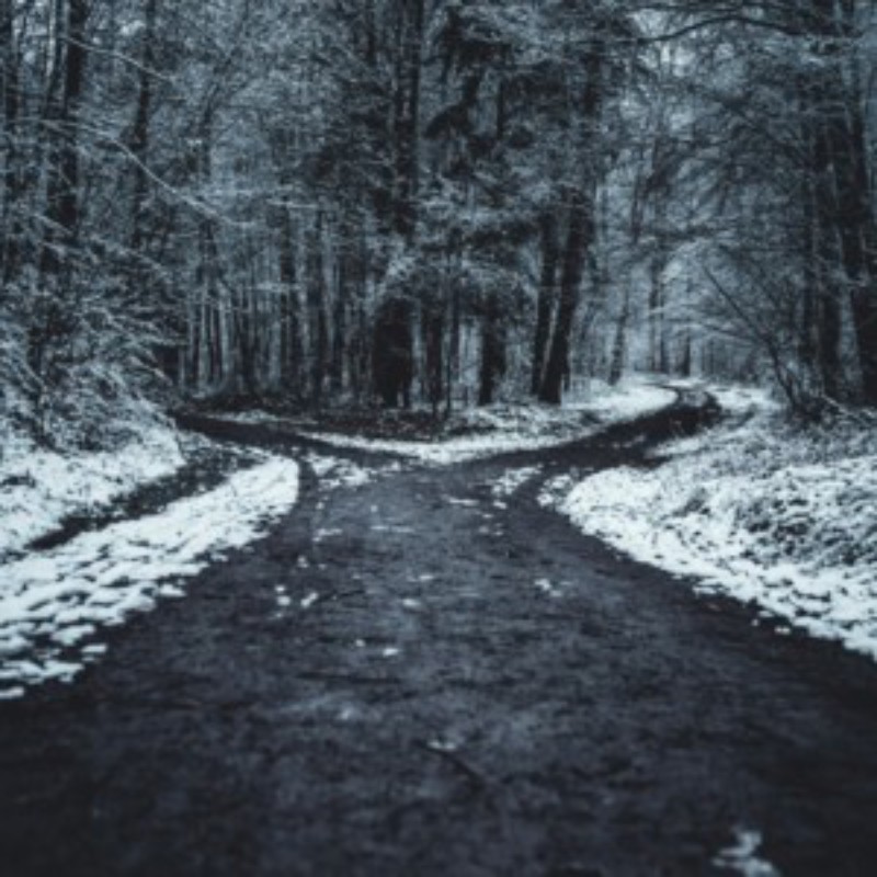 Group logo of ’The Road Not Taken’: Reading & Writing Robert Frost
